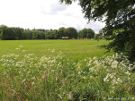 Nosseltweg